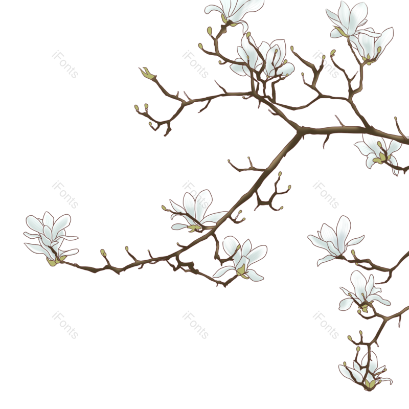 白色图片,春天元素,PNG,免抠素材